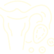 Ovulation Test