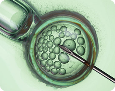 Understanding Sperm Health