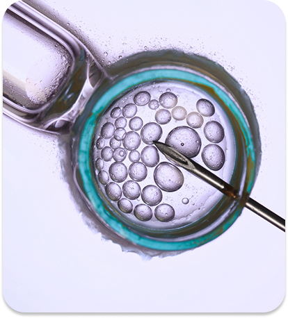 IVF Tracker
